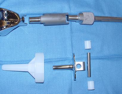 Photo of Metal Prosthesis